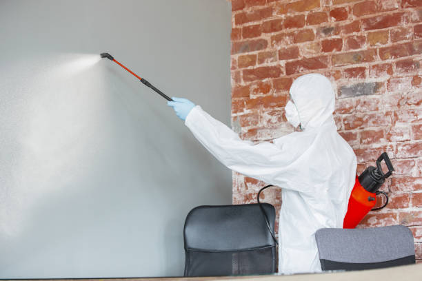  Depoe Bay, OR Mold Removal Pros
