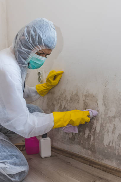 Mold Remediation for Rental Properties in Depoe Bay, OR